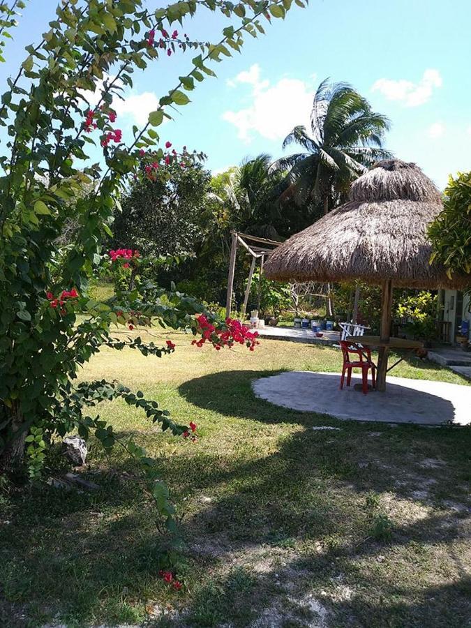 Hotel Templo Maya Xpujil Ngoại thất bức ảnh