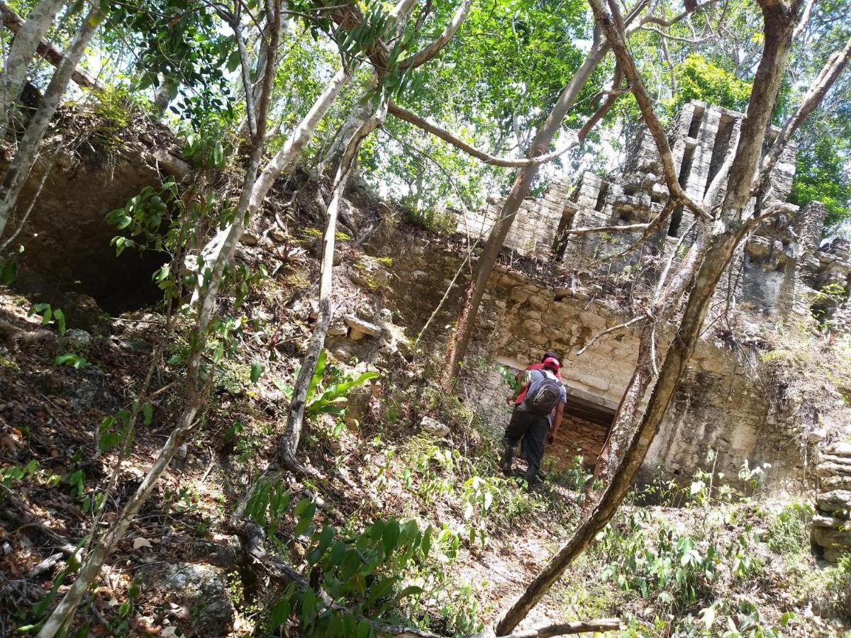 Hotel Templo Maya Xpujil Ngoại thất bức ảnh