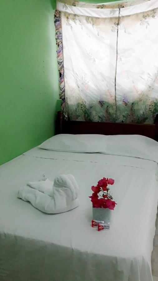 Hotel Templo Maya Xpujil Ngoại thất bức ảnh