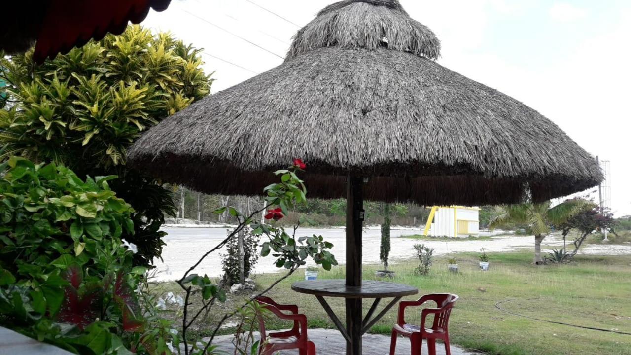 Hotel Templo Maya Xpujil Ngoại thất bức ảnh